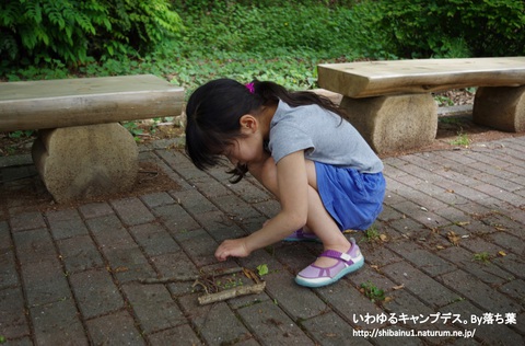 2018/5/12【ぐんま子供の国】 2018/5/12【ぐんま子供の国】