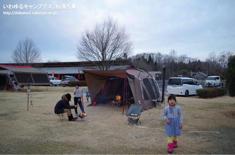 【グリンヴィラ】2019年1月12日 【グリンヴィラ】2019年1月12日