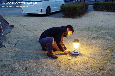 【グリンヴィラ】2019年1月12日 【グリンヴィラ】2019年1月12日