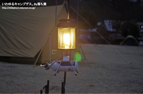 【グリンヴィラ】2019年1月12日 【グリンヴィラ】2019年1月12日