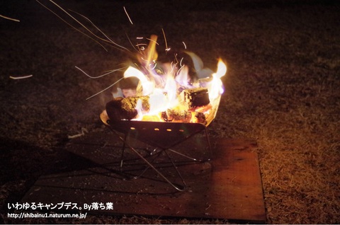 【グリンヴィラ】2019年1月12日 【グリンヴィラ】2019年1月12日