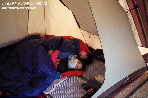 【グリンヴィラ】2019年1月12日 【グリンヴィラ】2019年1月12日