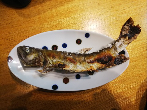 2019年3月1日【秩父渓流釣り】 2019年3月1日【秩父渓流釣り】