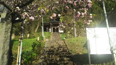 【佐渡旅行】2017.5.5 【佐渡旅行】2017.5.5
