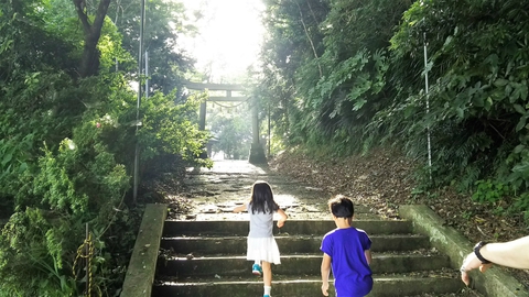 【勝浦】2017.7.2 【勝浦】2017.7.2