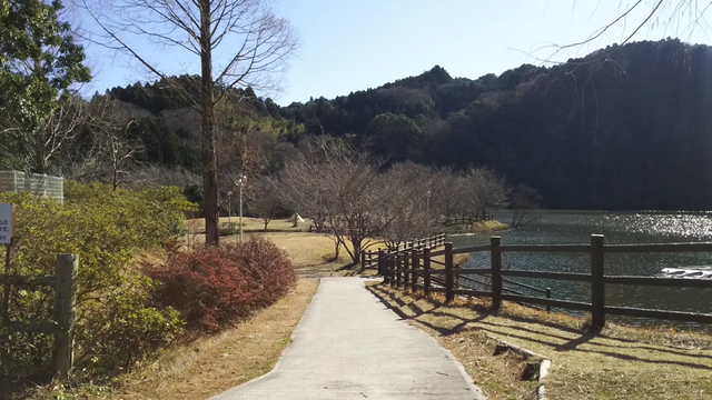 【稲が崎キャンプ場】2017年1月21日~22日 【稲が崎キャンプ場】2017年1月21日~22日