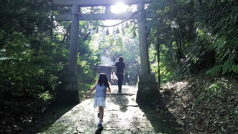 【勝浦】2017.7.2 【勝浦】2017.7.2