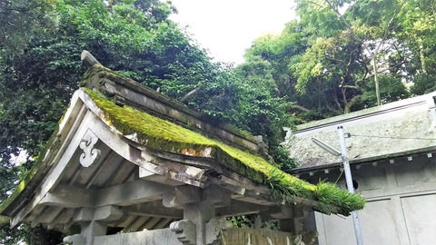【勝浦】2017.7.2 【勝浦】2017.7.2