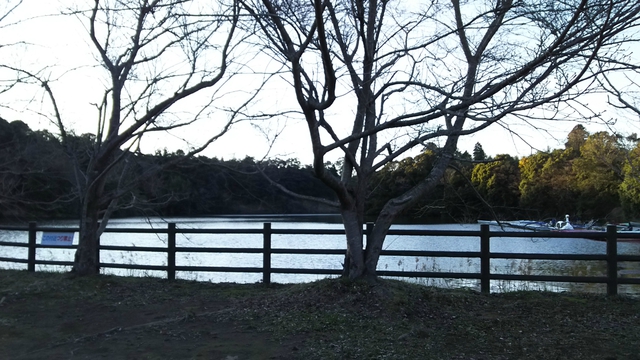 【稲が崎キャンプ場】2017年1月21日~22日 【稲が崎キャンプ場】2017年1月21日~22日