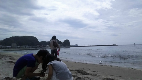 【勝浦】2017.7.2 【勝浦】2017.7.2