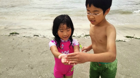 【勝浦】2017.7.2 【勝浦】2017.7.2