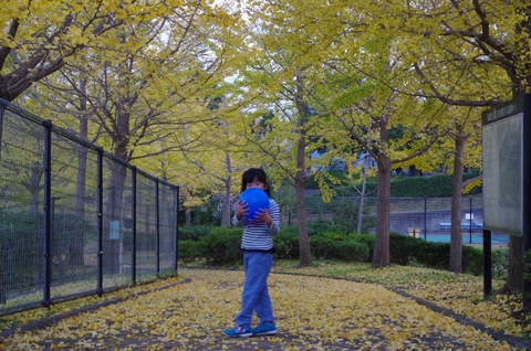 【WILD 1 BIG HOP千葉店】2017.11.3 【WILD 1 BIG HOP千葉店】2017.11.3