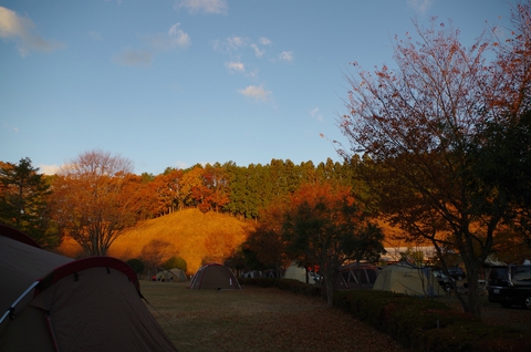 【グリンヴィラ】2017年11月18日 【グリンヴィラ】2017年11月18日