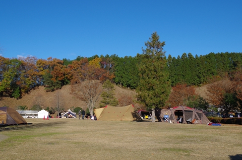 【グリンヴィラ】2017年11月18日 【グリンヴィラ】2017年11月18日