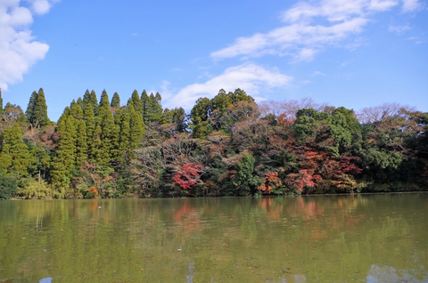 【君津稲ケ崎キャンプ場】 【君津稲ケ崎キャンプ場】