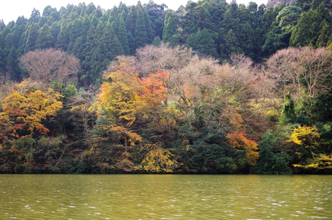 【君津稲ケ崎キャンプ場】 【君津稲ケ崎キャンプ場】