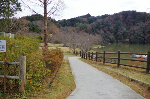 【君津稲ケ崎キャンプ場】 【君津稲ケ崎キャンプ場】