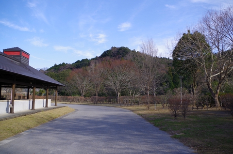 【君津稲ケ崎キャンプ場】 【君津稲ケ崎キャンプ場】