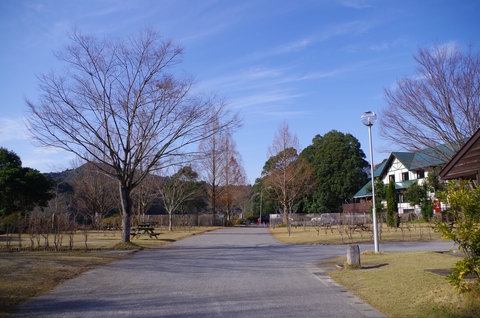 【君津稲ケ崎キャンプ場】 【君津稲ケ崎キャンプ場】