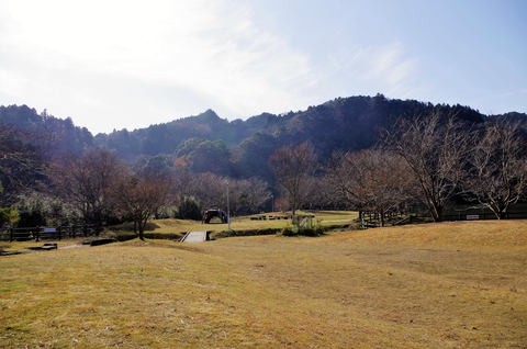 【君津稲ケ崎キャンプ場】 【君津稲ケ崎キャンプ場】