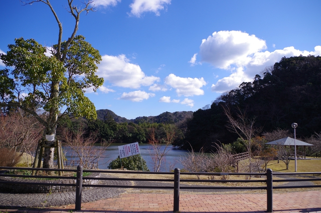 【稲が崎キャンプ場】2017年1月21日~22日 【稲が崎キャンプ場】2017年1月21日~22日