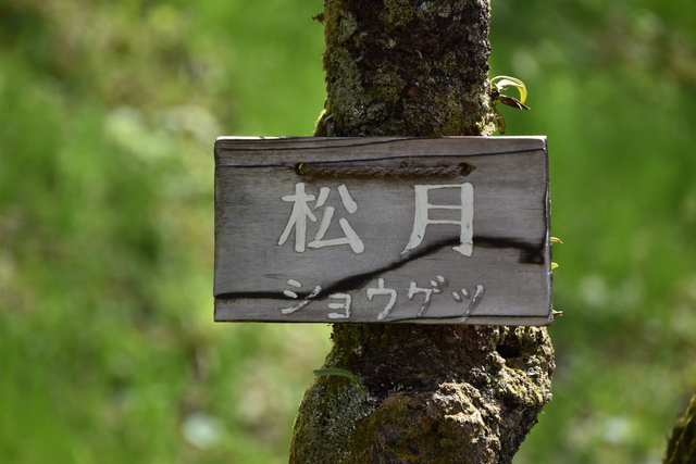 三元牌ではなく西か北・・・通称便利ズーム 三元牌ではなく西か北・・・通称便利ズーム