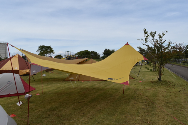 CAMP OF WONDER 2019 CAMP OF WONDER 2019