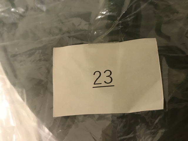 CAMP OF WONDER 2019 CAMP OF WONDER 2019