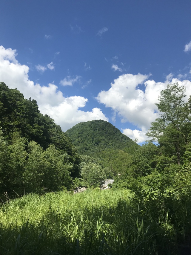 ライトなタープがほすぃ ライトなタープがほすぃ