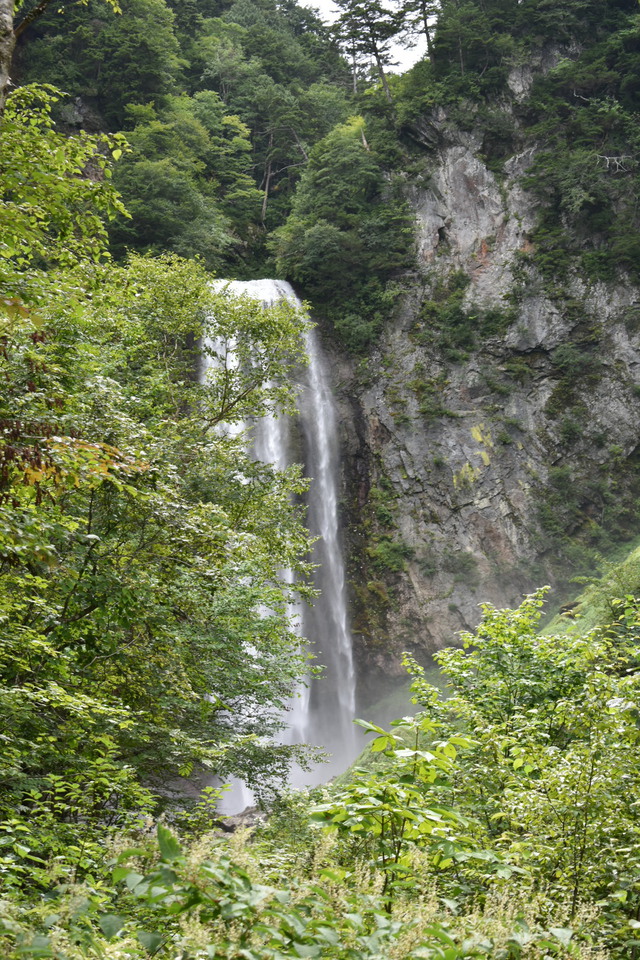 レポ♪平湯2019夏 その2 レポ♪平湯2019夏 その2