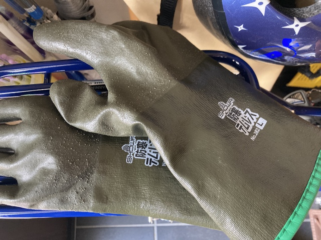 梅は咲いたか? 梅は咲いたか?