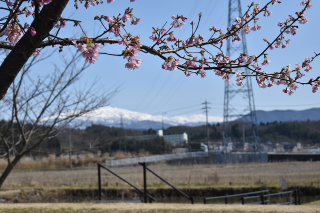 春の木場潟サイクリング 春の木場潟サイクリング