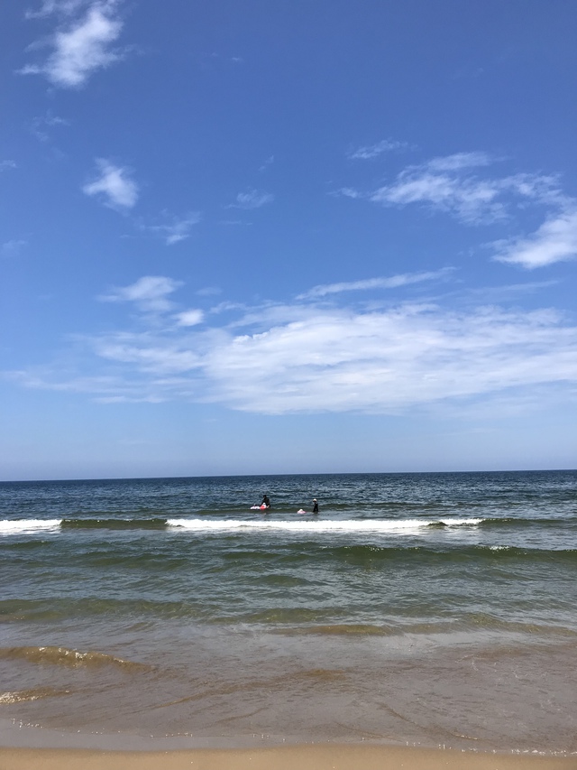 最強のペグ!? 最強のペグ!?