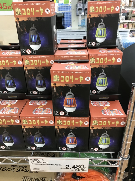 これがうわさの・・・・・・・・ これがうわさの・・・・・・・・
