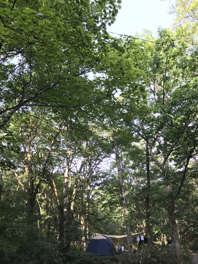 レポ♪平湯2019夏 その2 レポ♪平湯2019夏 その2