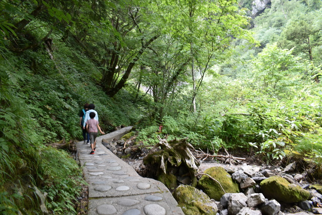 レポ♪平湯2019夏 その2 レポ♪平湯2019夏 その2