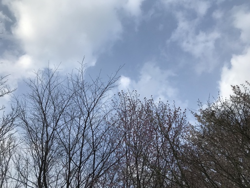 3 朝の空 3 朝の空