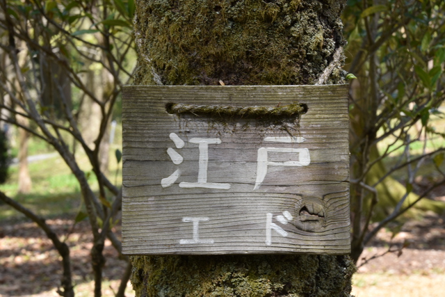 三元牌ではなく西か北・・・通称便利ズーム 三元牌ではなく西か北・・・通称便利ズーム