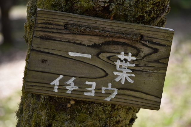 三元牌ではなく西か北・・・通称便利ズーム 三元牌ではなく西か北・・・通称便利ズーム
