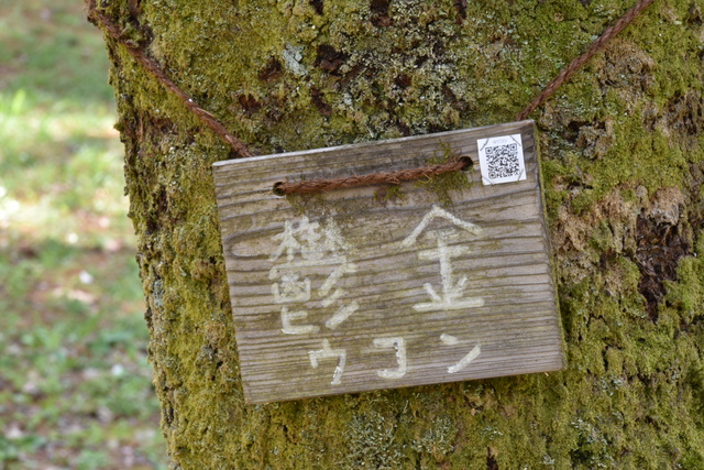 三元牌ではなく西か北・・・通称便利ズーム 三元牌ではなく西か北・・・通称便利ズーム