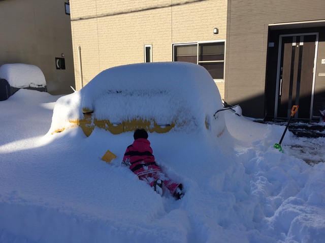 雪中?お腹いっぱいです(笑) 雪中?お腹いっぱいです(笑)