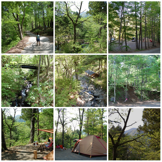 道志村の四季彩(色彩)〜 季節の移り変わりをコラージュ写真で 道志村の四季彩(色彩)〜 季節の移り変わりをコラージュ写真で