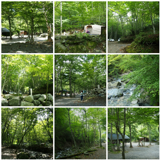 道志村の四季彩(色彩)〜 季節の移り変わりをコラージュ写真で 道志村の四季彩(色彩)〜 季節の移り変わりをコラージュ写真で