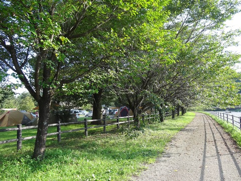 出会いの森総合公園オートキャンプ場 〜 The Park Camp お花見版 出会いの森総合公園オートキャンプ場 〜 The Park Camp お花見版