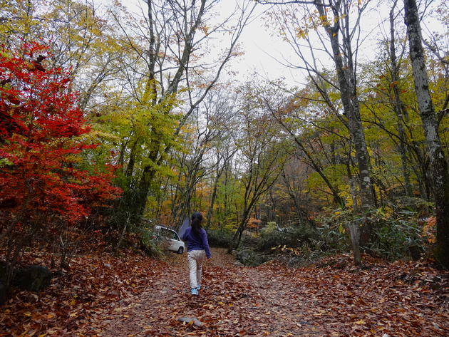 山伏オートキャンプ場 〜 紅葉キャンプ桃源郷 山伏オートキャンプ場 〜 紅葉キャンプ桃源郷
