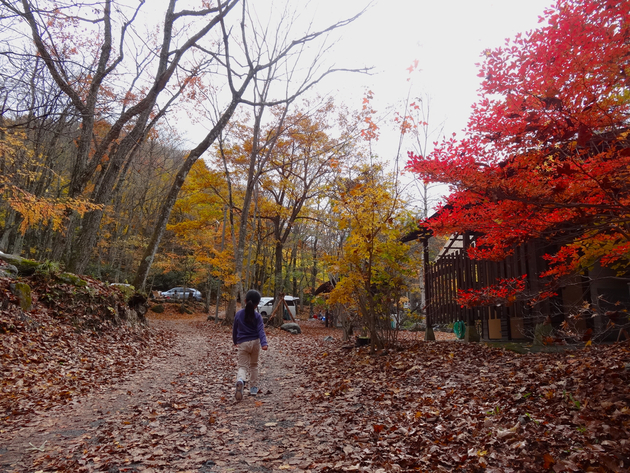 山伏オートキャンプ場 〜 紅葉キャンプ桃源郷 山伏オートキャンプ場 〜 紅葉キャンプ桃源郷