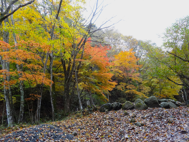 山伏オートキャンプ場 〜 紅葉キャンプ桃源郷 山伏オートキャンプ場 〜 紅葉キャンプ桃源郷