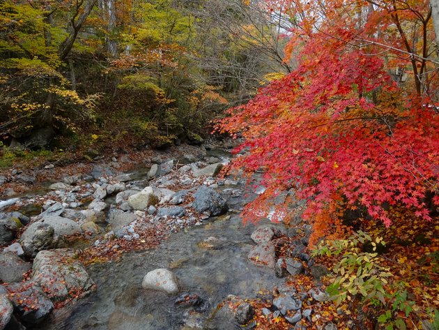 山伏オートキャンプ場 〜 紅葉キャンプ桃源郷 山伏オートキャンプ場 〜 紅葉キャンプ桃源郷