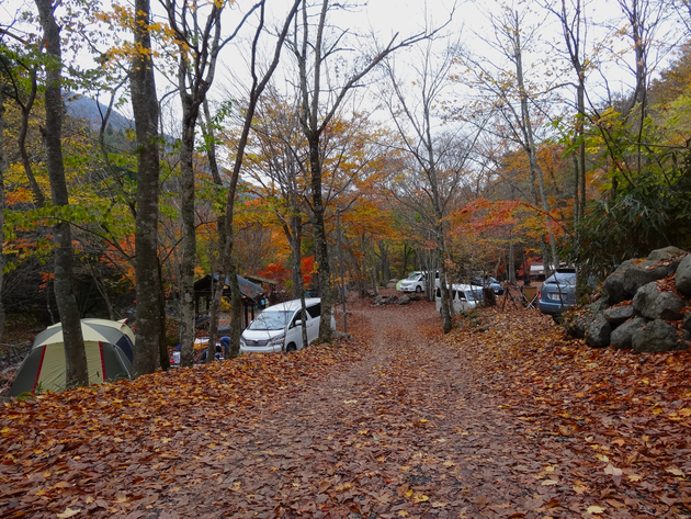 山伏オートキャンプ場 〜 紅葉キャンプ桃源郷 山伏オートキャンプ場 〜 紅葉キャンプ桃源郷
