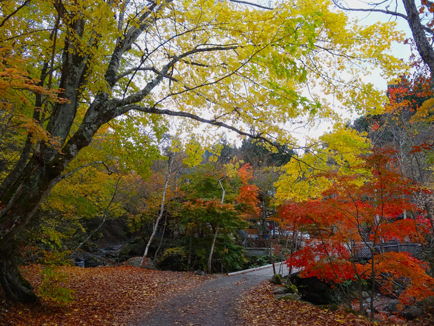 山伏オートキャンプ場 〜 紅葉キャンプ桃源郷 山伏オートキャンプ場 〜 紅葉キャンプ桃源郷